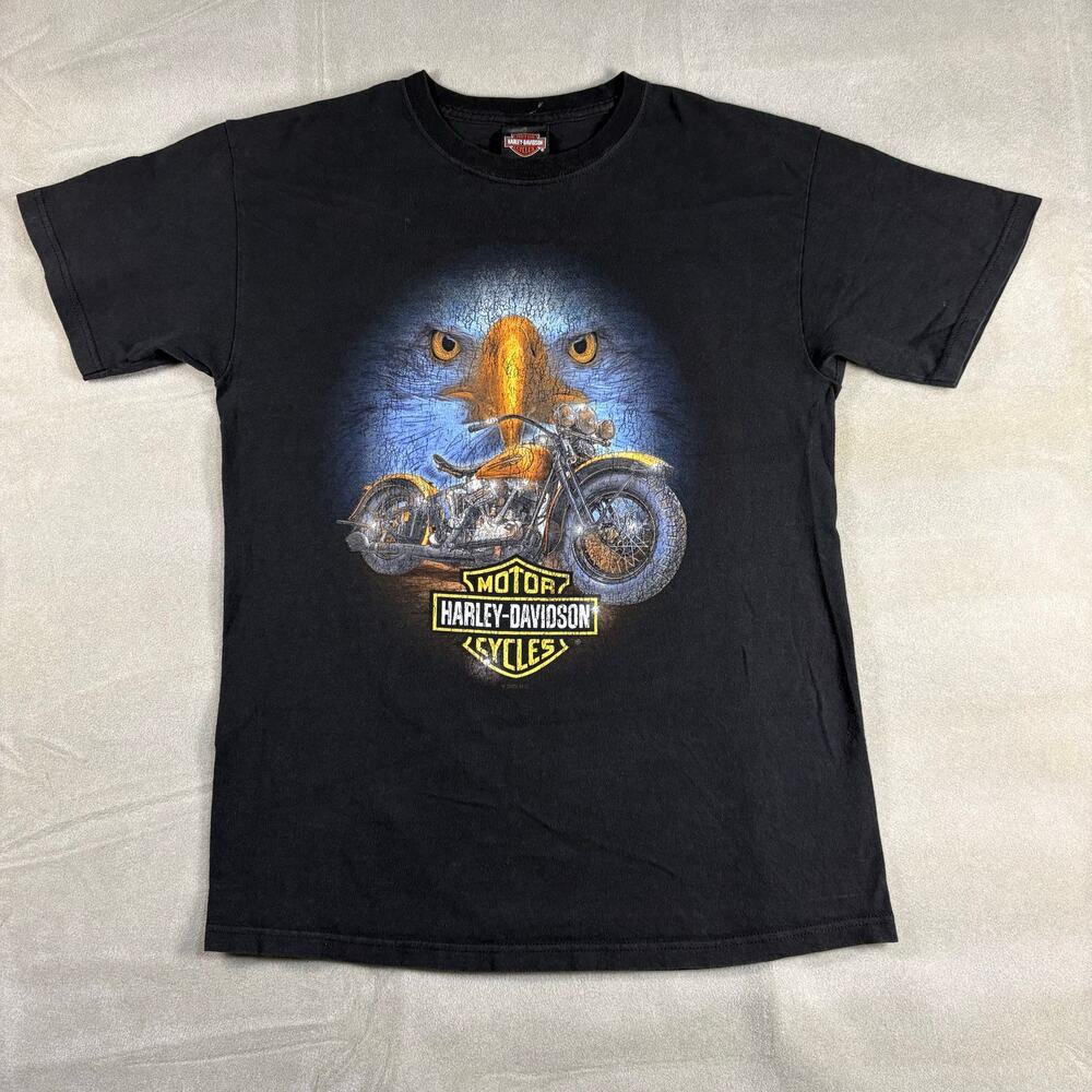 Harley-Davidson Men's Headstrong Eagle T-Shirt - Northwoods Arbor Vitae, WI Sz M
